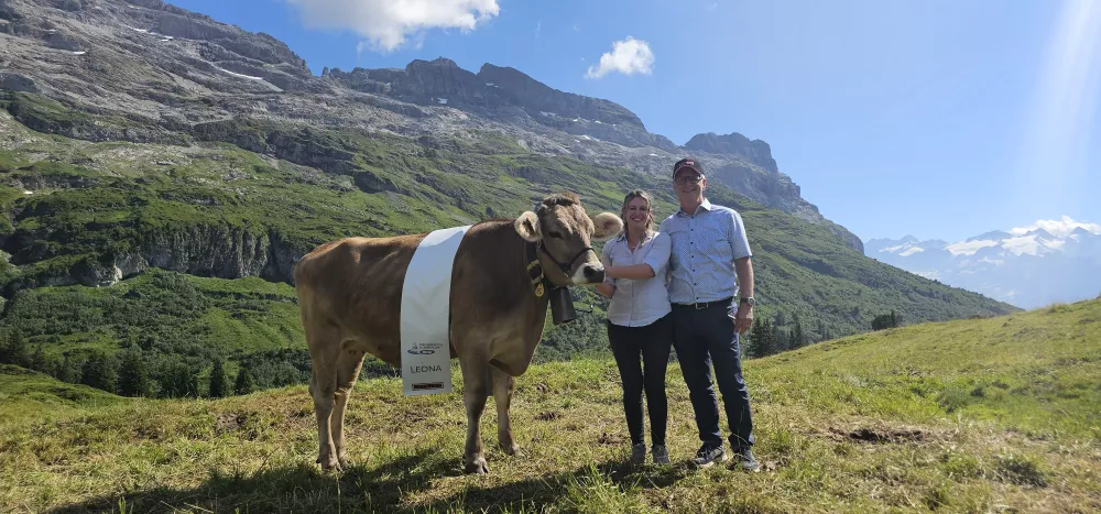 La vache LEONA