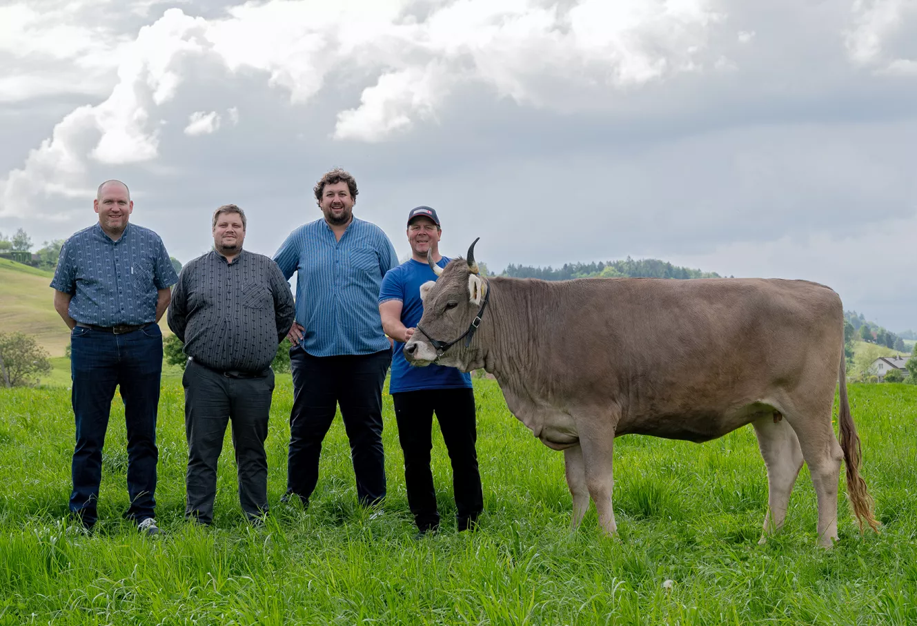 La vache ZIRBE