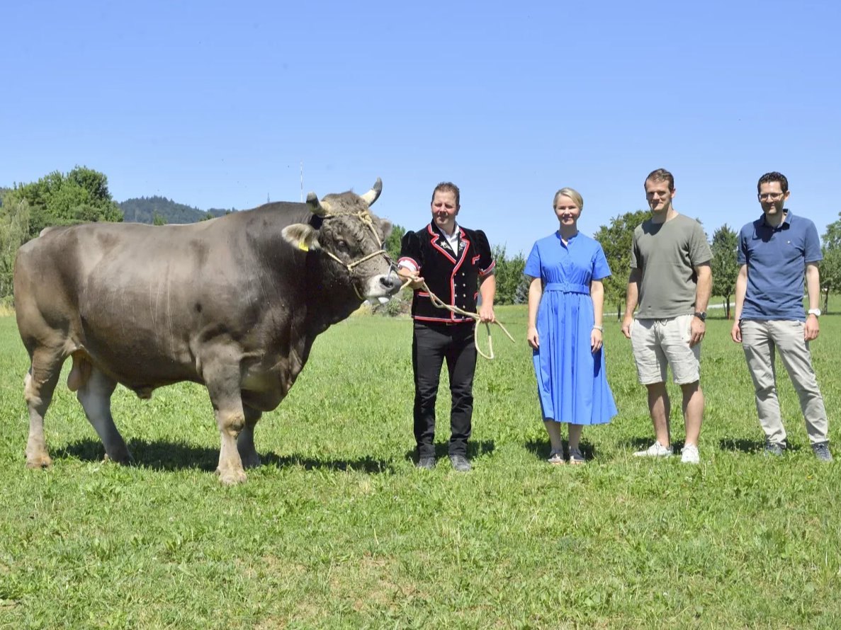 Éleveur, Marraine, Parrain, Donateur