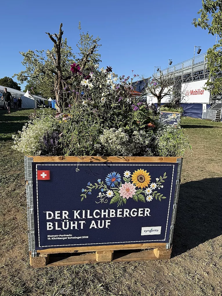 Blumen von Syngenta